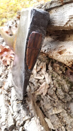 20191104-155456.jpg