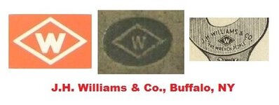 Williams Buffalo NY LOGO.jpg