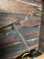 IMG_4906.jpg