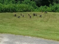 20200828_150501.jpg