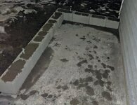 PXL_20211201_230830996.jpg
