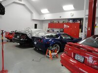DSC00507.jpg