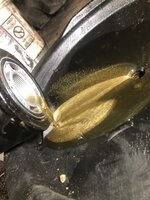 F1E13771-6D24-452E-97D0-3F67CB202D38.jpeg