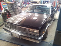 36890733mv.jpg