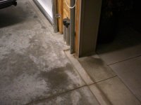Garage,Dogs,June 29 storm, Bristol 2012 086.jpg
