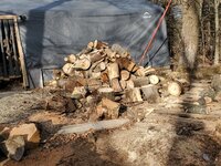 outside wood pile.jpg outside wood pile.jpg