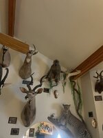 IMG_3388.JPG