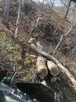 473F17CC-DEED-4B44-8E10-3A4155628E72.jpeg