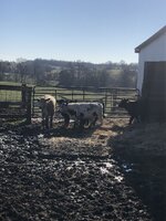 2361BDF9-F0F5-4DF9-9C3B-5004E558B6D0.jpeg