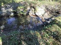 IMG_1950.JPG