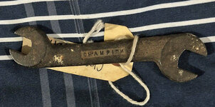 Champion w backwards N.jpg