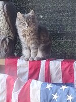9B17D88A-4004-408C-9EB2-FE1849F9CE9C.jpeg