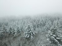 DJI_0027g.jpg