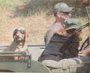 Gracie_Damboree_Parade.jpg Gracie_Damboree_Parade.jpg