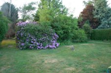 DSC_5086.jpg