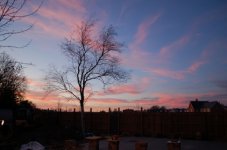 DSC_7103.jpg