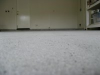 IMG_0315.jpg
