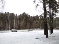 th_579777531_IMG_20171121_152845_122_357lo.jpg