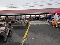 20220106_085023.jpg