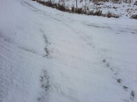 drifting.jpg