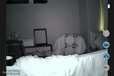 35616497195_de1037420f_c.jpg