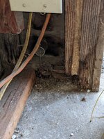 PXL_20220108_000725915.jpg
