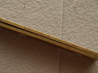 P1077785-th.jpg