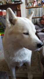 IMG-20190504-WA0000.jpg