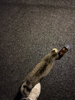 56C887BA-3575-4737-B027-580ABFA87FC9.jpeg