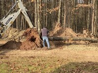 IMG_0849.JPG
