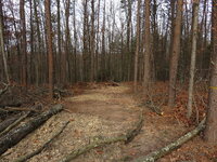 IMG_7233.JPG