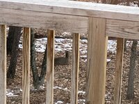 IMG_1715.JPG