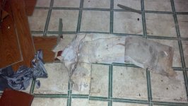 2012-10-11_16-59-00_556.jpg
