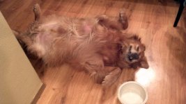 2012-10-29_18-17-05_525.jpg
