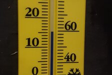20220115_113402.jpg