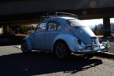 DSC_4210 - Copy.JPG