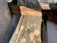 IMG_4429.jpeg