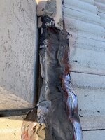 IMG_4431.jpeg