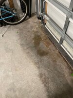 IMG_1930.jpeg