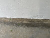 IMG_1932 3.jpg