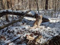 AHo12Hs05svTfHTBGMygN4z6A=w1204-h903-no?authuser=0.jpg