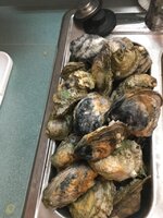 oysters.jpg