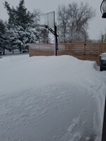 20220203_093413.jpg