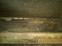 IMG00462-20120414-1113.jpg