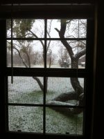 Snow.JPG