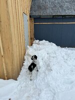 IMG_5173.jpg