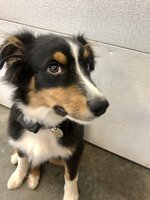 3842558A-01F6-401B-88AF-395813B4B68F.jpeg