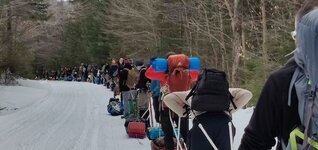 WinterTrek 2022, lineup.jpg