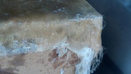 2012-10-12_16-52-57_669.jpg