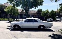IMG_3661.jpg